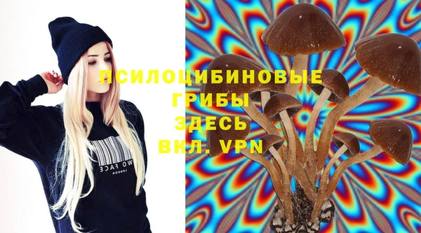 тгк Баксан